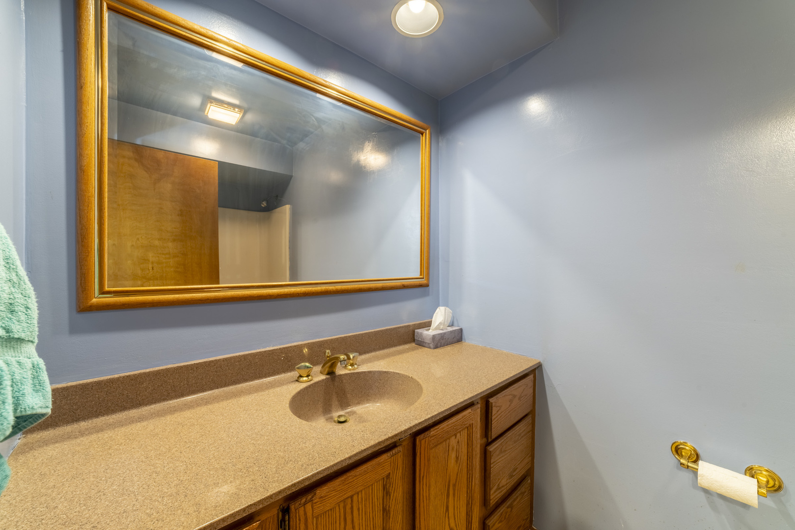 10046 Polk Court, Crown Point, IN 46307
