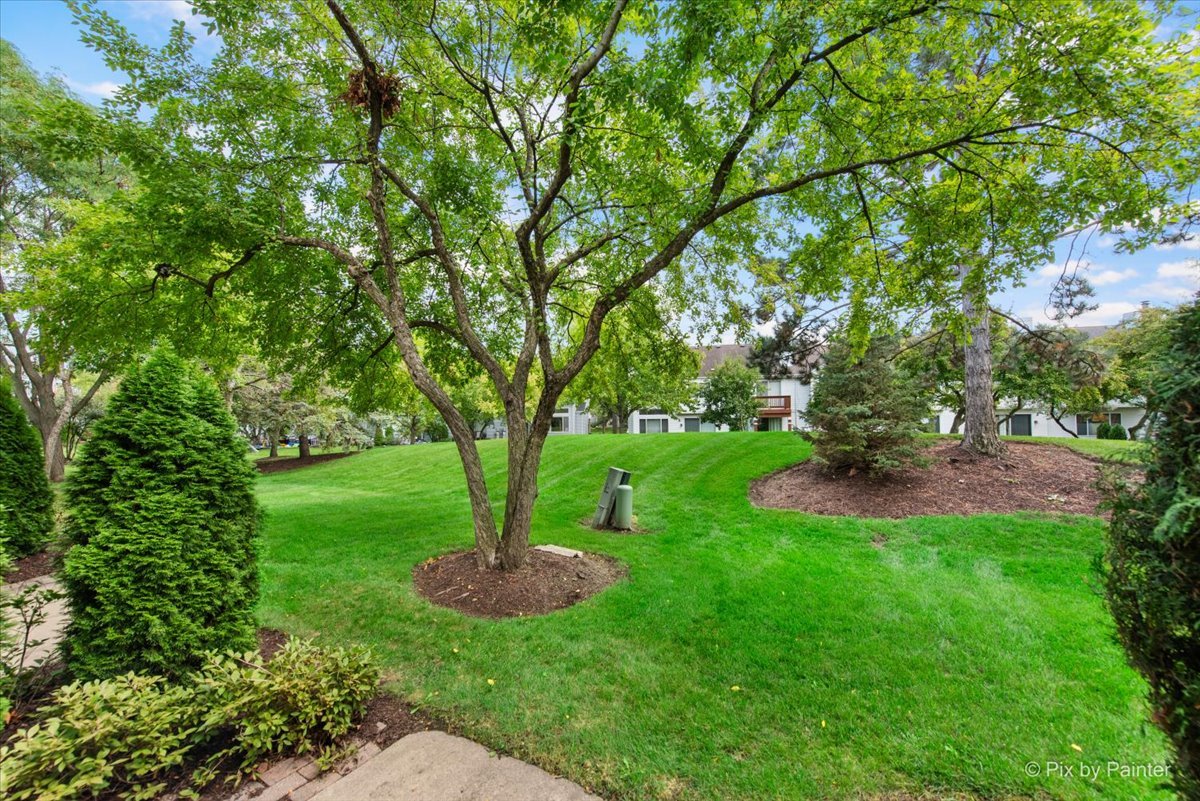 2813 Odlum Drive, Schaumburg, IL 60194