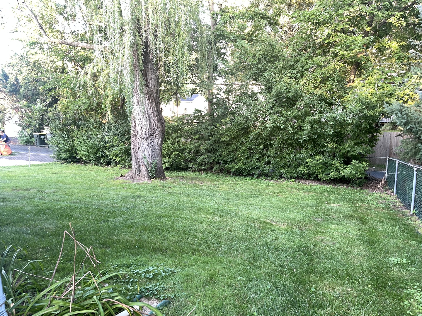 159 N Park Street, Westmont, IL 60559