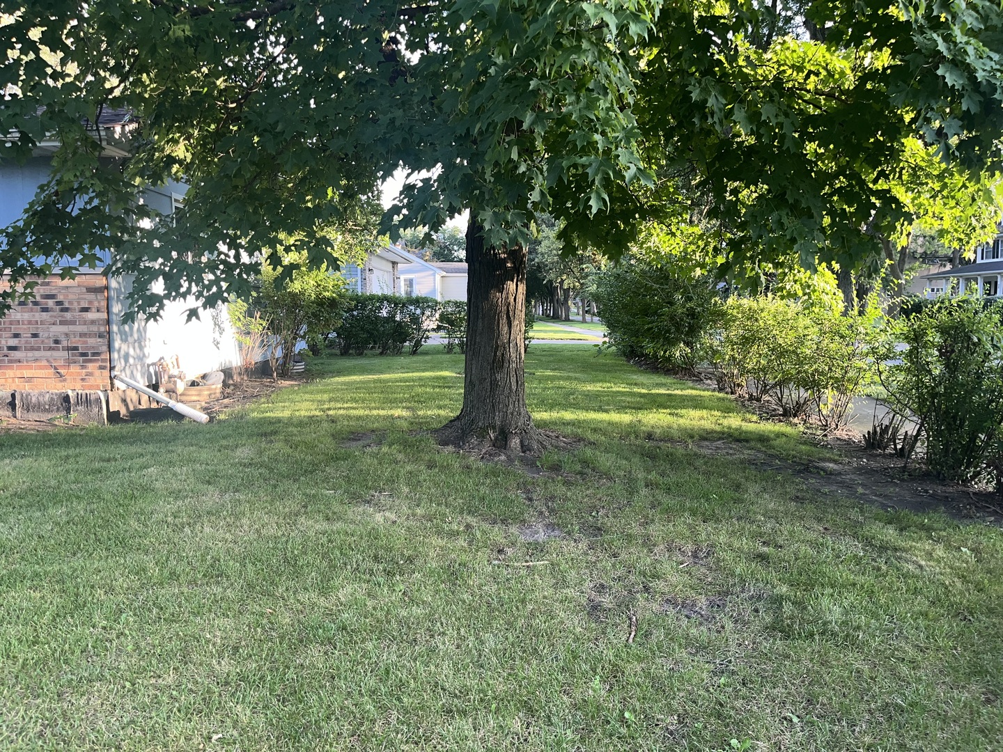 159 N Park Street, Westmont, IL 60559