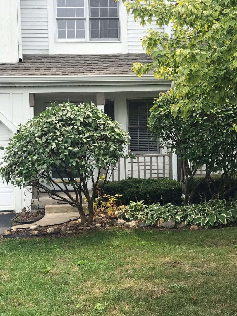 315 Spring Point Drive, Carpentersville, IL 60110