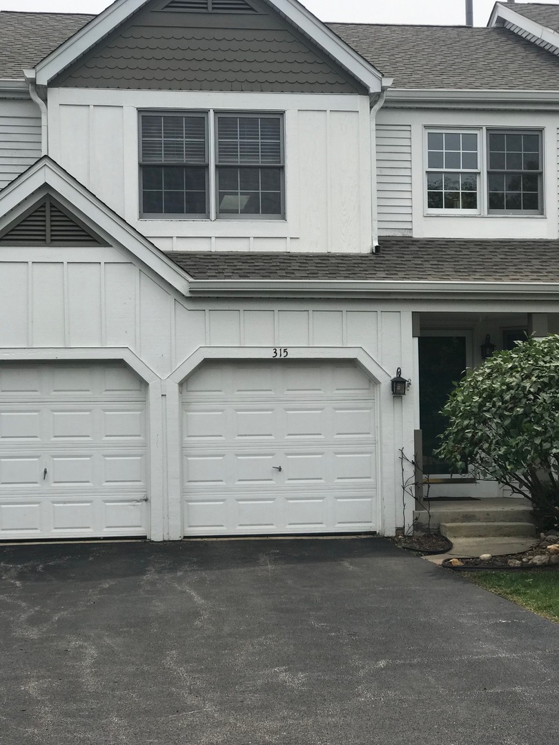 315 Spring Point Drive, Carpentersville, IL 60110