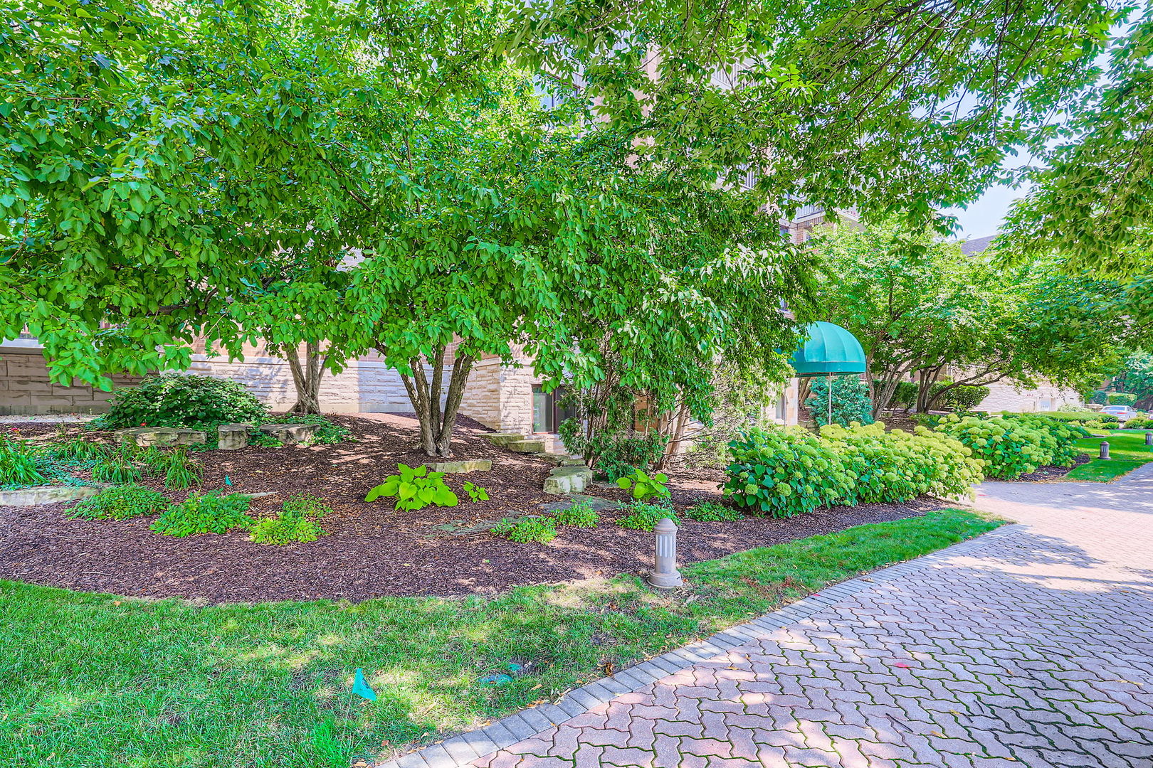 5 S Pine Street #302, Mount Prospect, IL 60056
