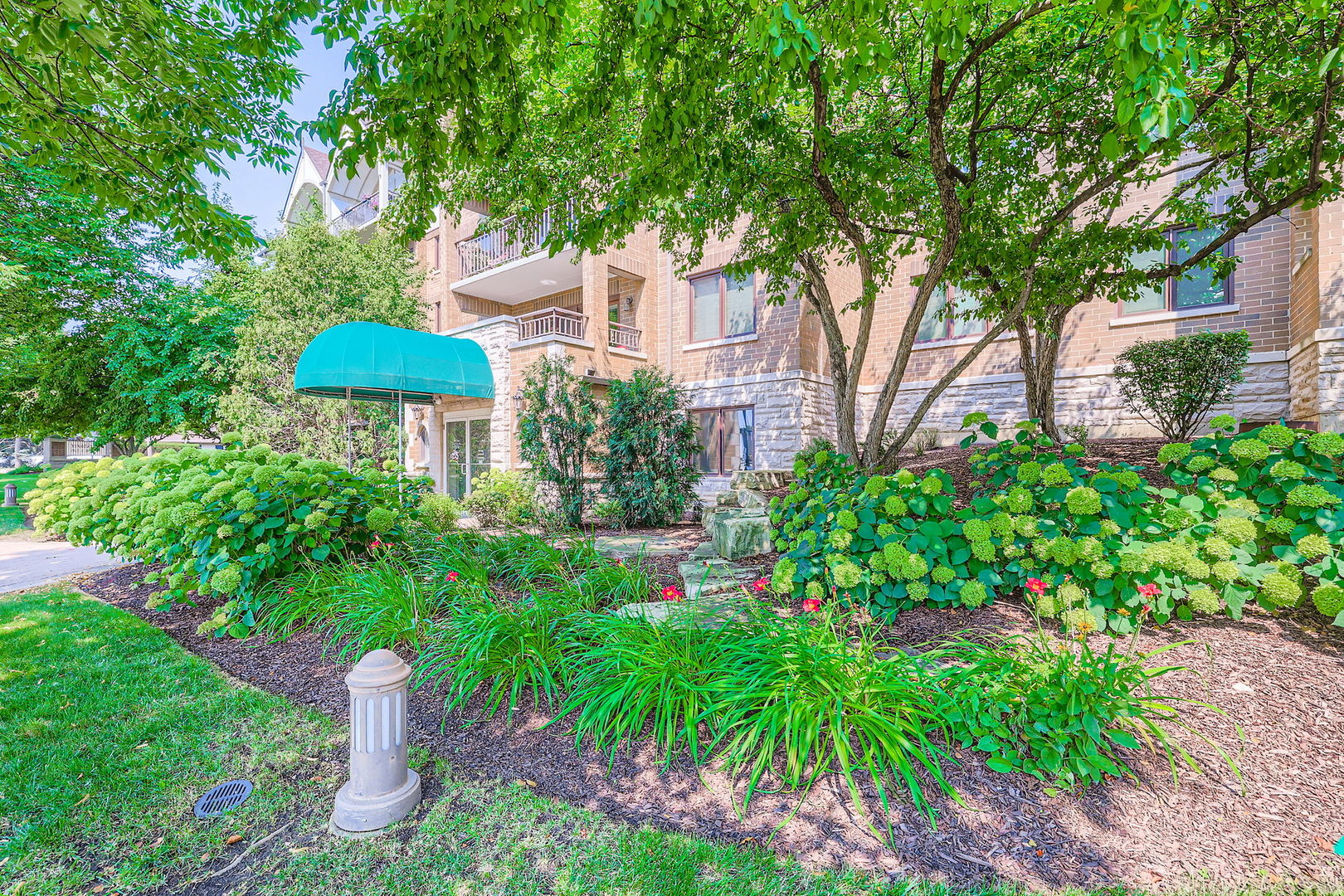 5 S Pine Street #302, Mount Prospect, IL 60056