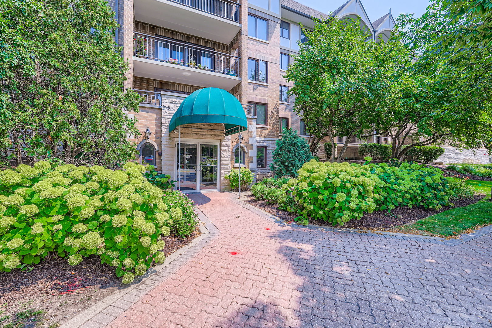 5 S Pine Street #302, Mount Prospect, IL 60056