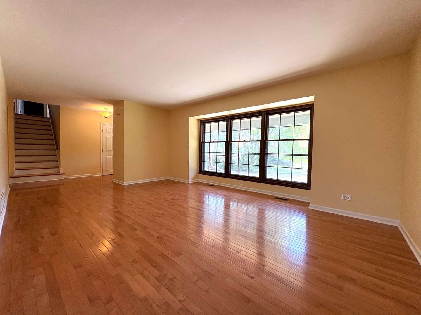501 Ticonderoga Lane, Naperville, IL 60563