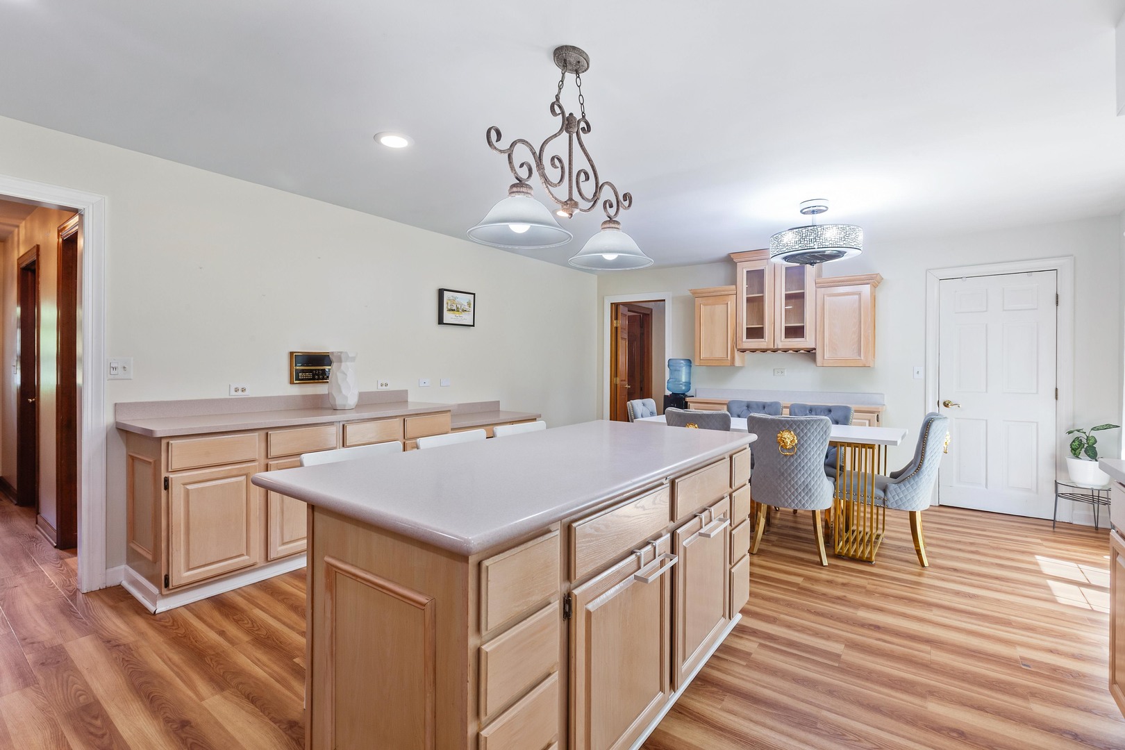15555 W Janas Drive, Homer Glen, IL 60491