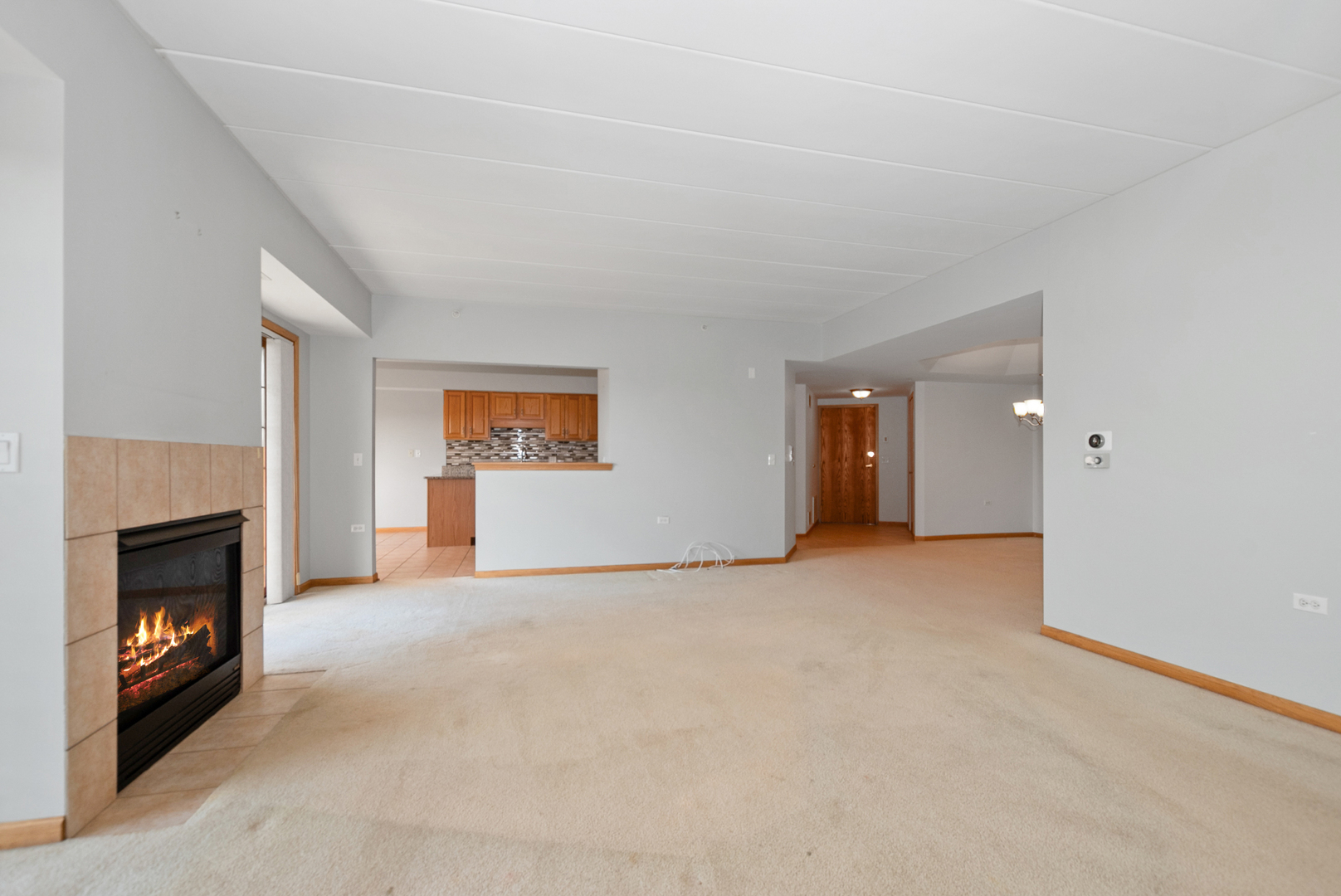 14130 Sheffield Drive #202, Homer Glen, IL 60491