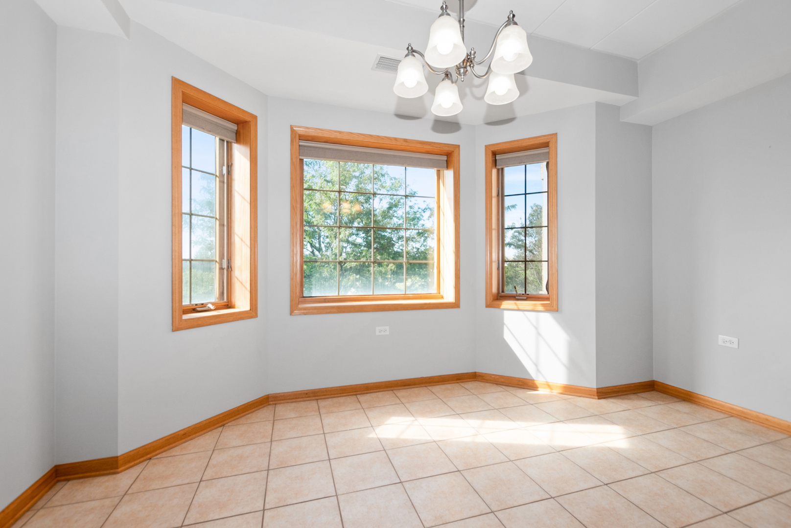 14130 Sheffield Drive #202, Homer Glen, IL 60491