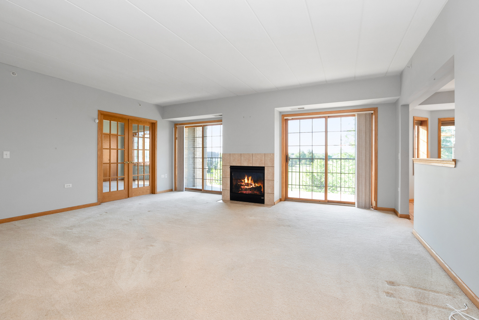 14130 Sheffield Drive #202, Homer Glen, IL 60491
