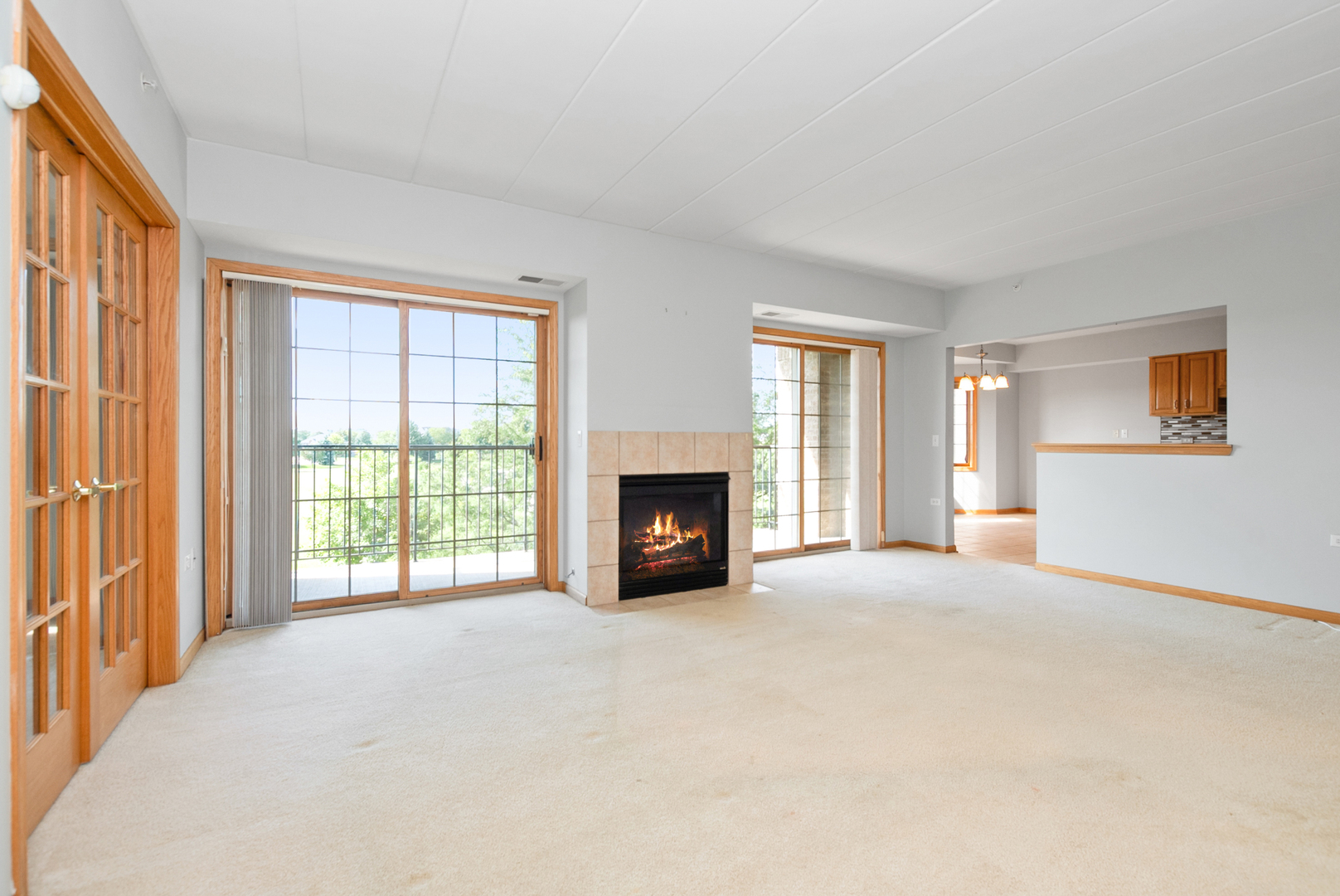 14130 Sheffield Drive #202, Homer Glen, IL 60491