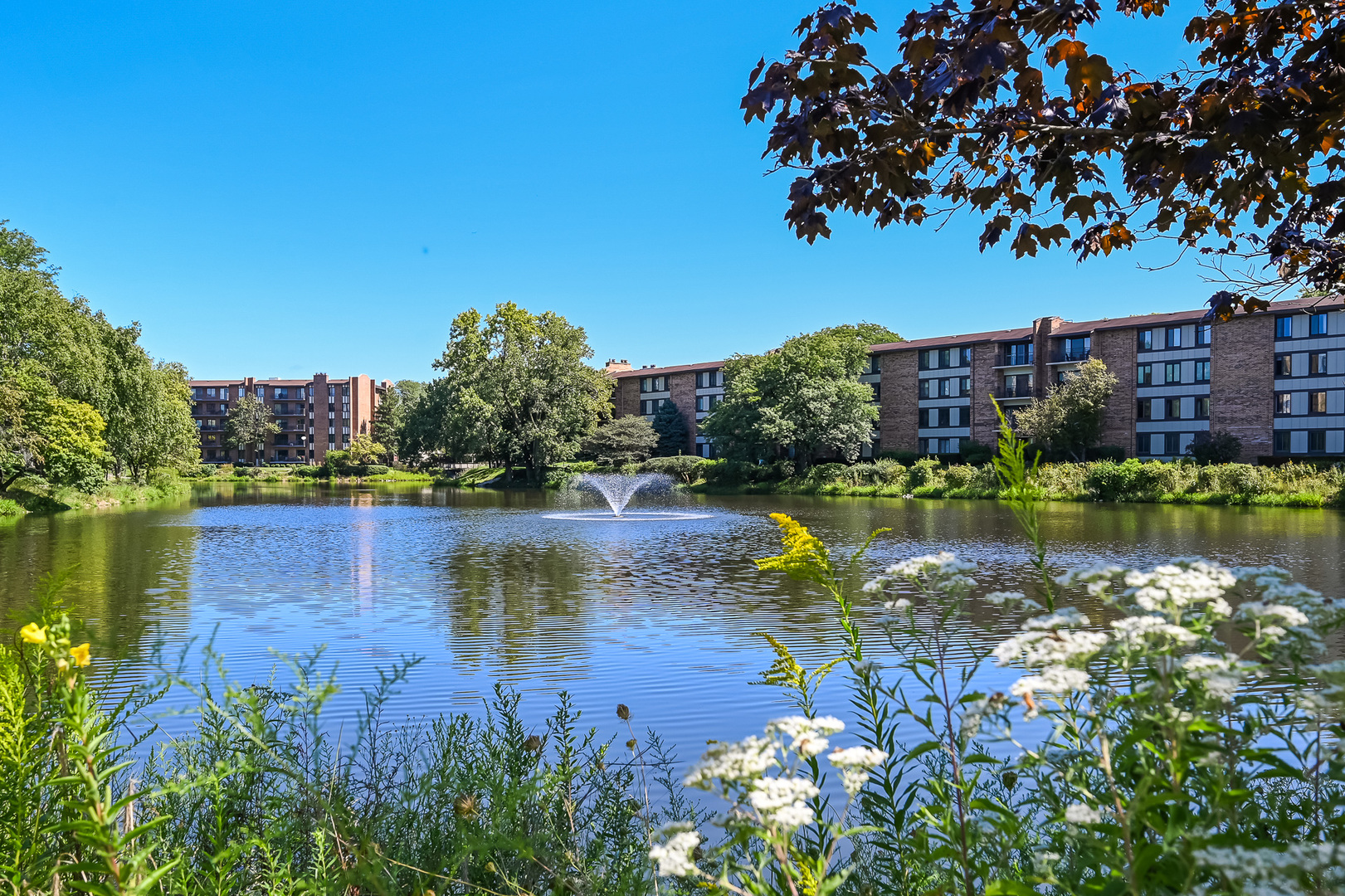 201 Lake Hinsdale Drive #111, Willowbrook, IL 60527