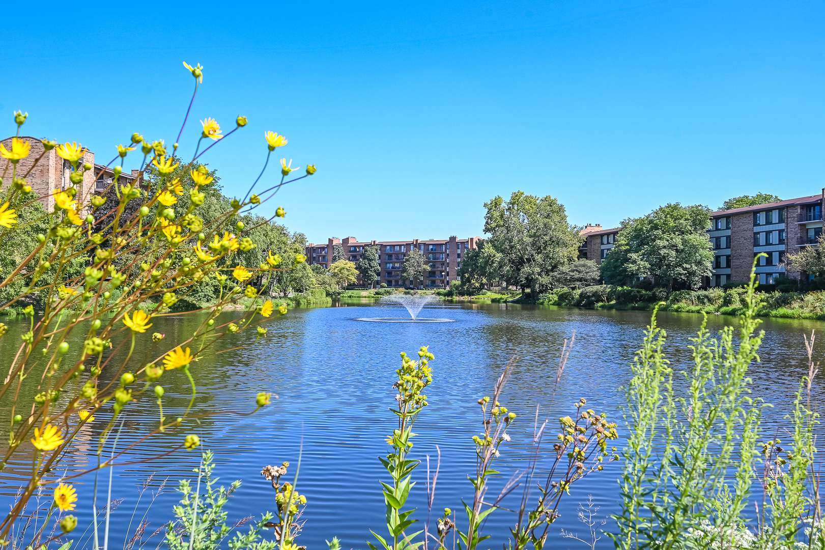 201 Lake Hinsdale Drive #111, Willowbrook, IL 60527