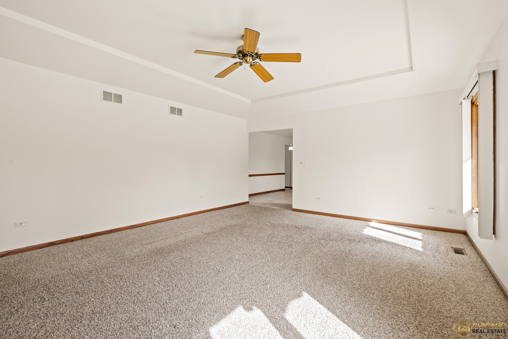 8025 Chesterton Drive, Woodridge, IL 60517