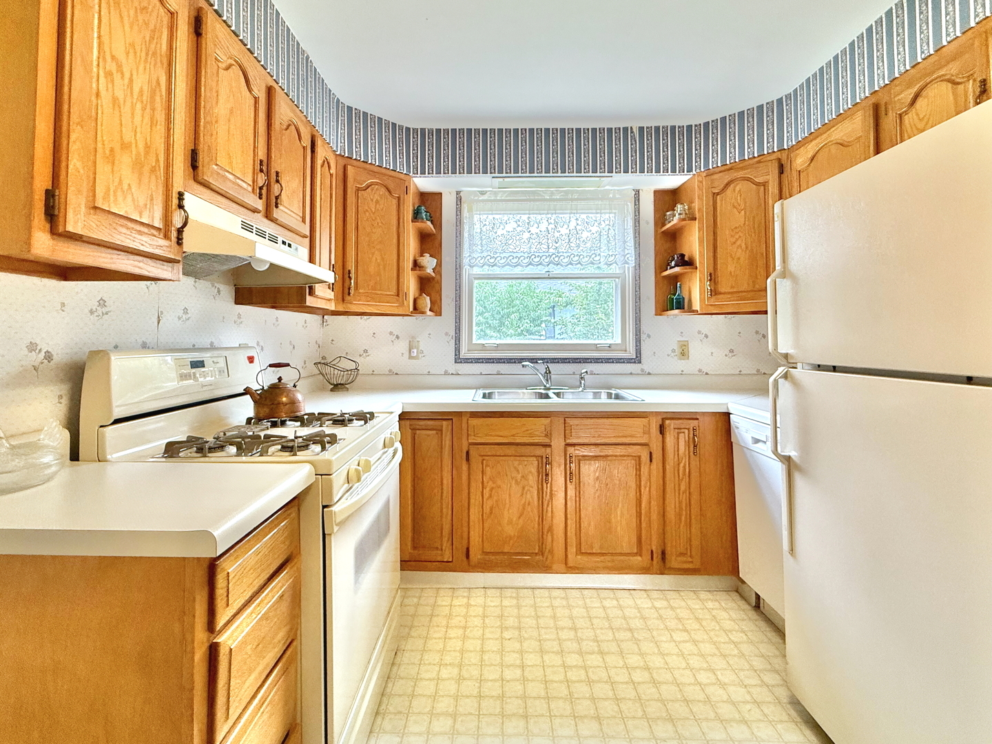 838 Cedar Avenue, Elgin, IL 60120