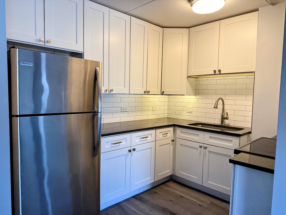 115 Marengo Avenue #204, Forest Park, IL 60130