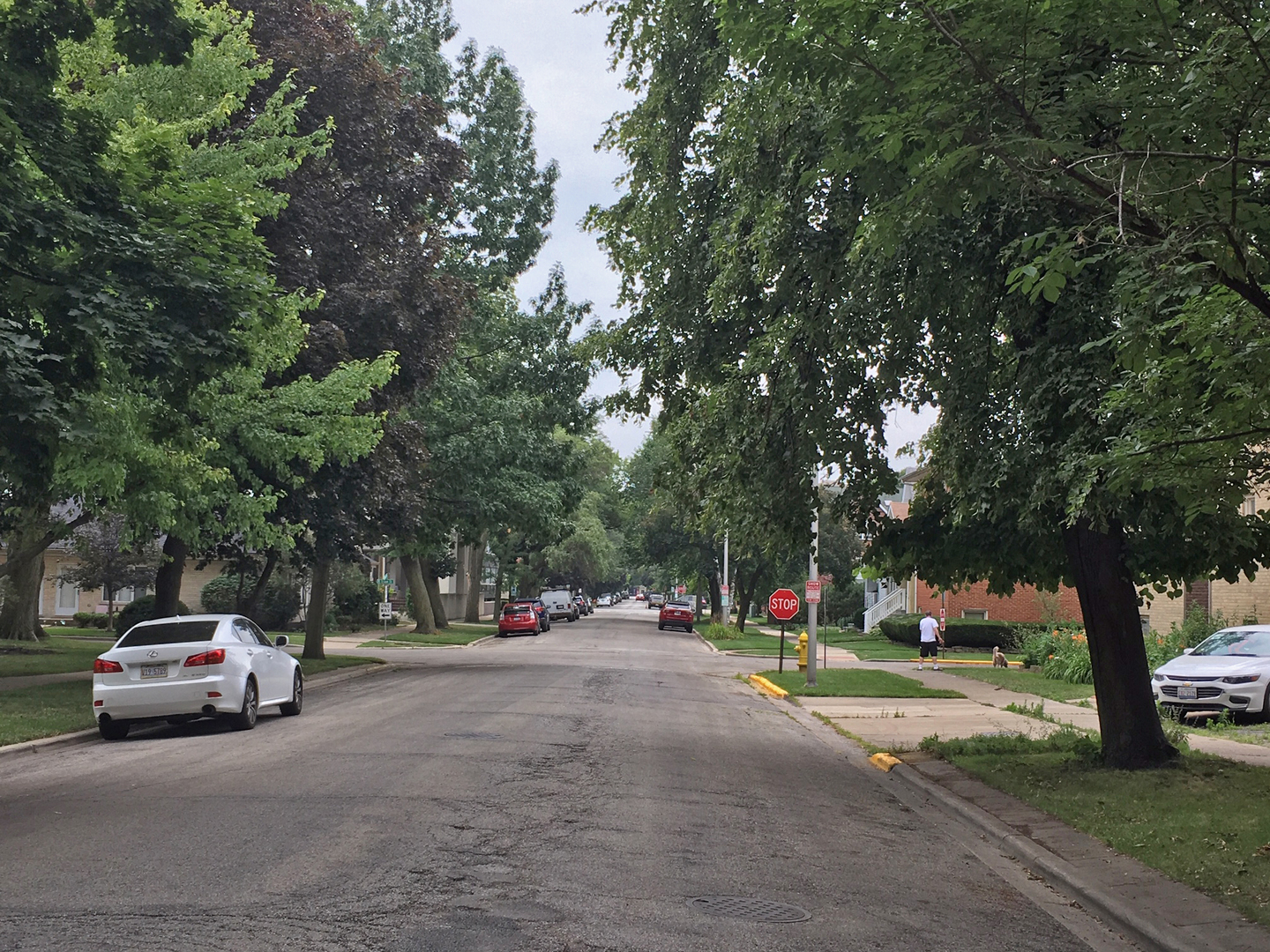 115 Marengo Avenue #204, Forest Park, IL 60130