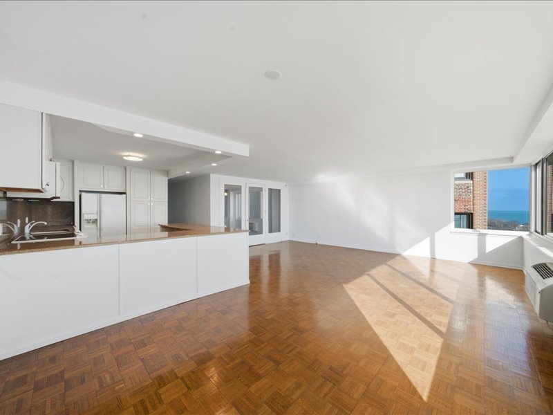 1440 N Lake Shore Drive #12H, Chicago, IL 60610