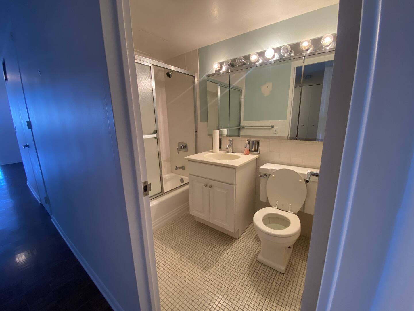 1440 N Lake Shore Drive #12H, Chicago, IL 60610