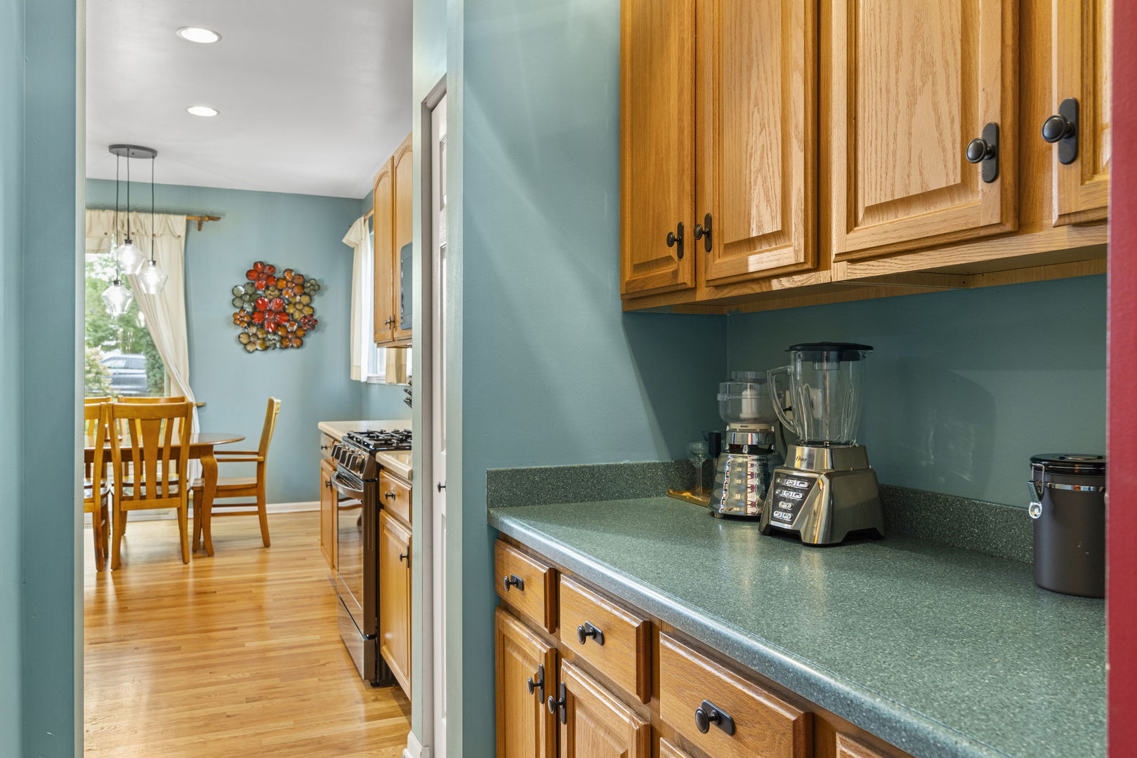 1 Winterberry Court, Streamwood, IL 60107