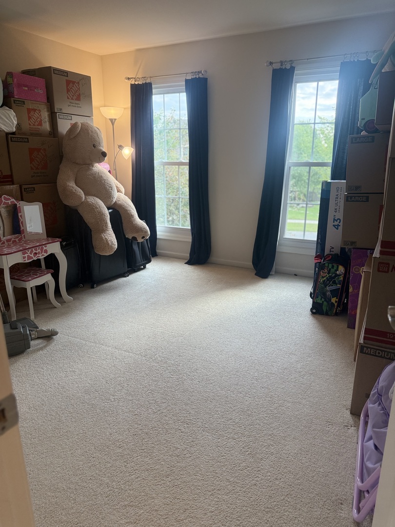 13035 Grande Pines Boulevard, Plainfield, IL 60585