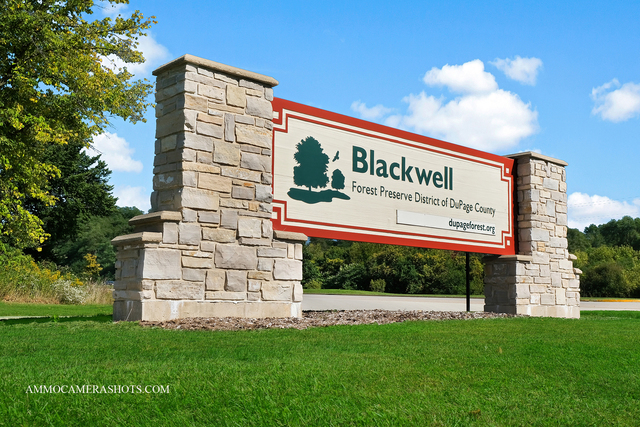 3S188 Harvest Court, Warrenville, IL 60555