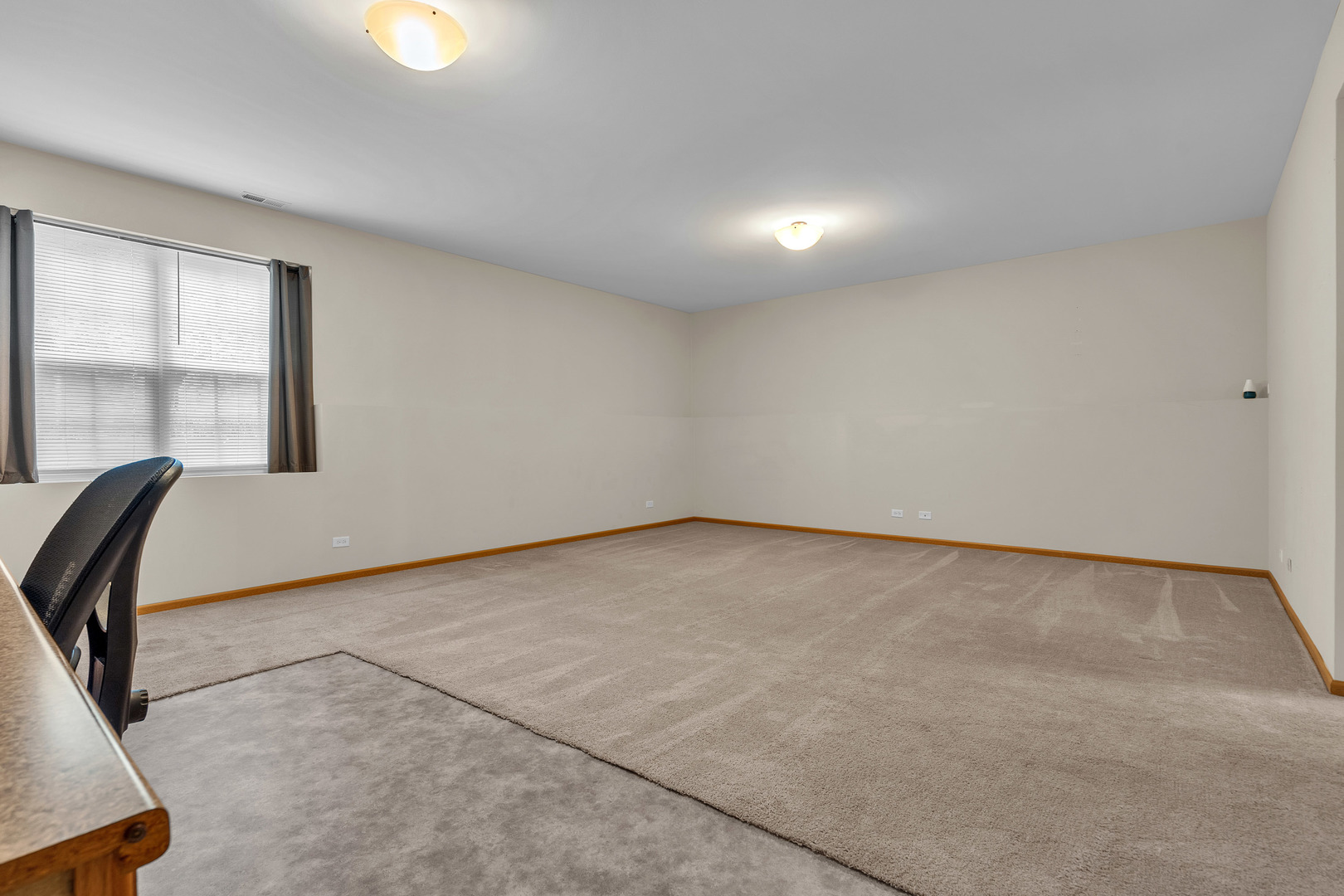 1561 W Turtle Creek Lane #1561, Round Lake, IL 60073
