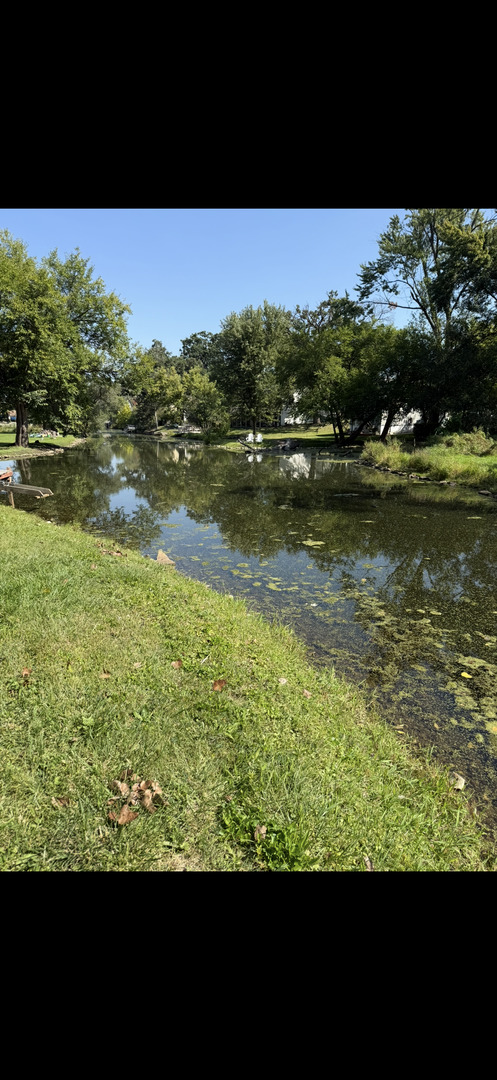 35 Medinah Avenue, Fox Lake, IL 60020