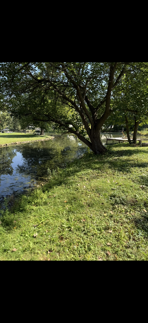 35 Medinah Avenue, Fox Lake, IL 60020