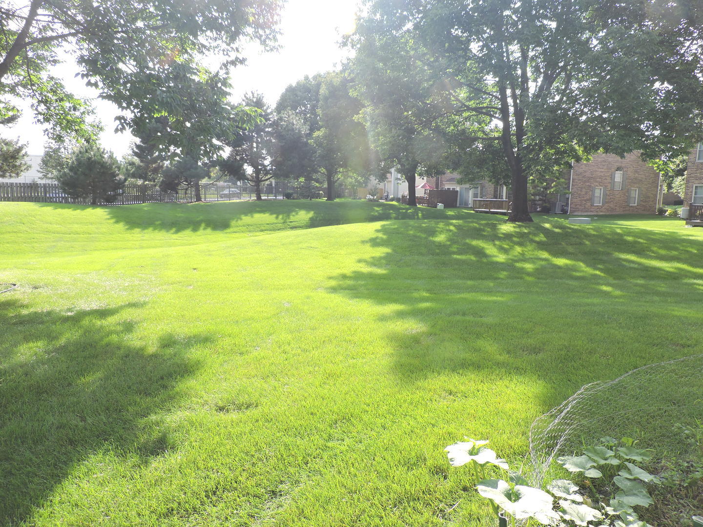 245 CARLISLE Avenue, Westmont, IL 60559