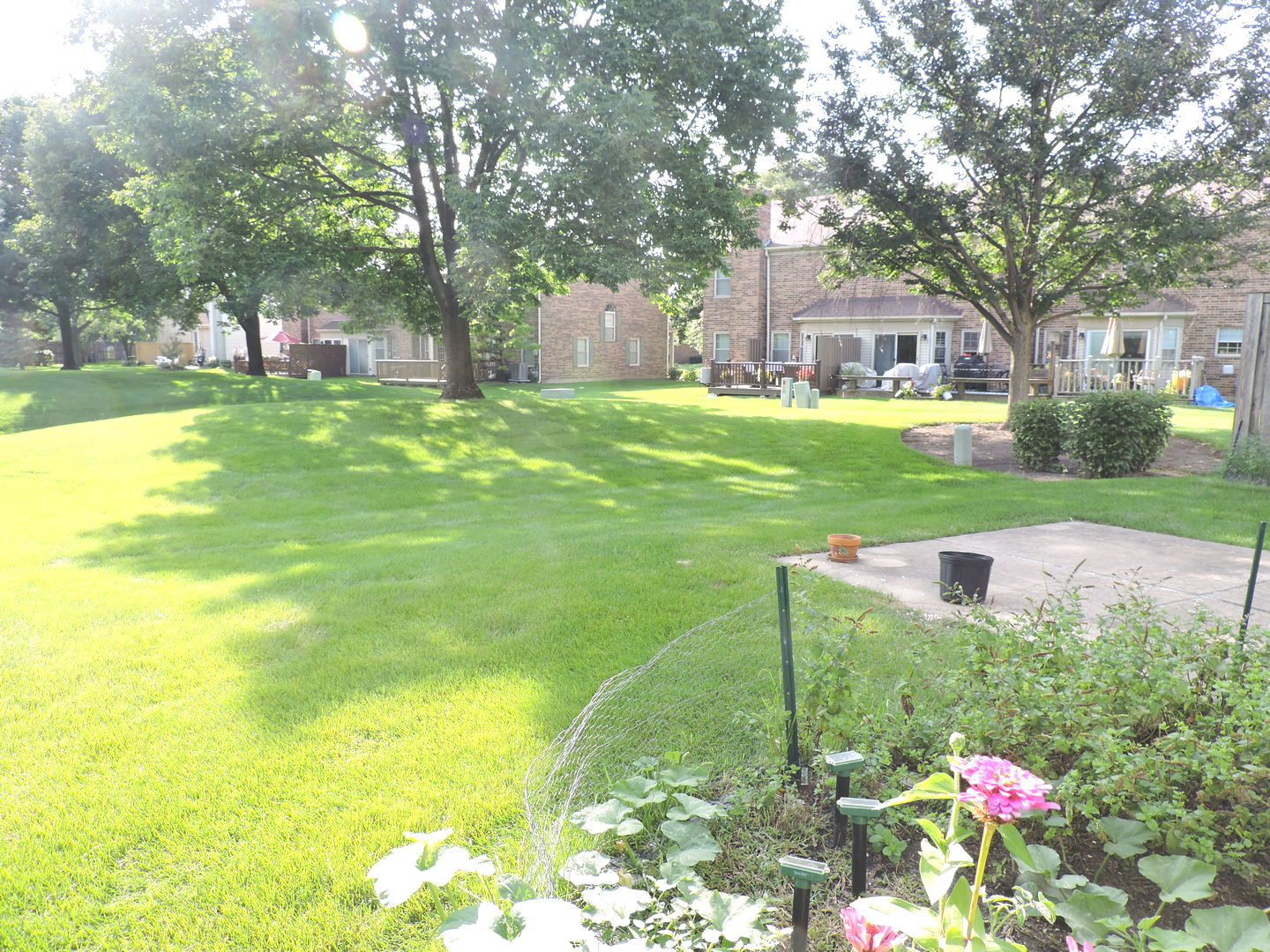 245 CARLISLE Avenue, Westmont, IL 60559