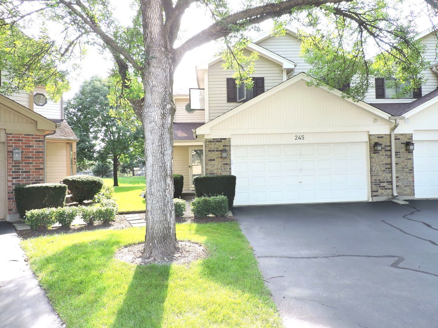 245 CARLISLE Avenue, Westmont, IL 60559