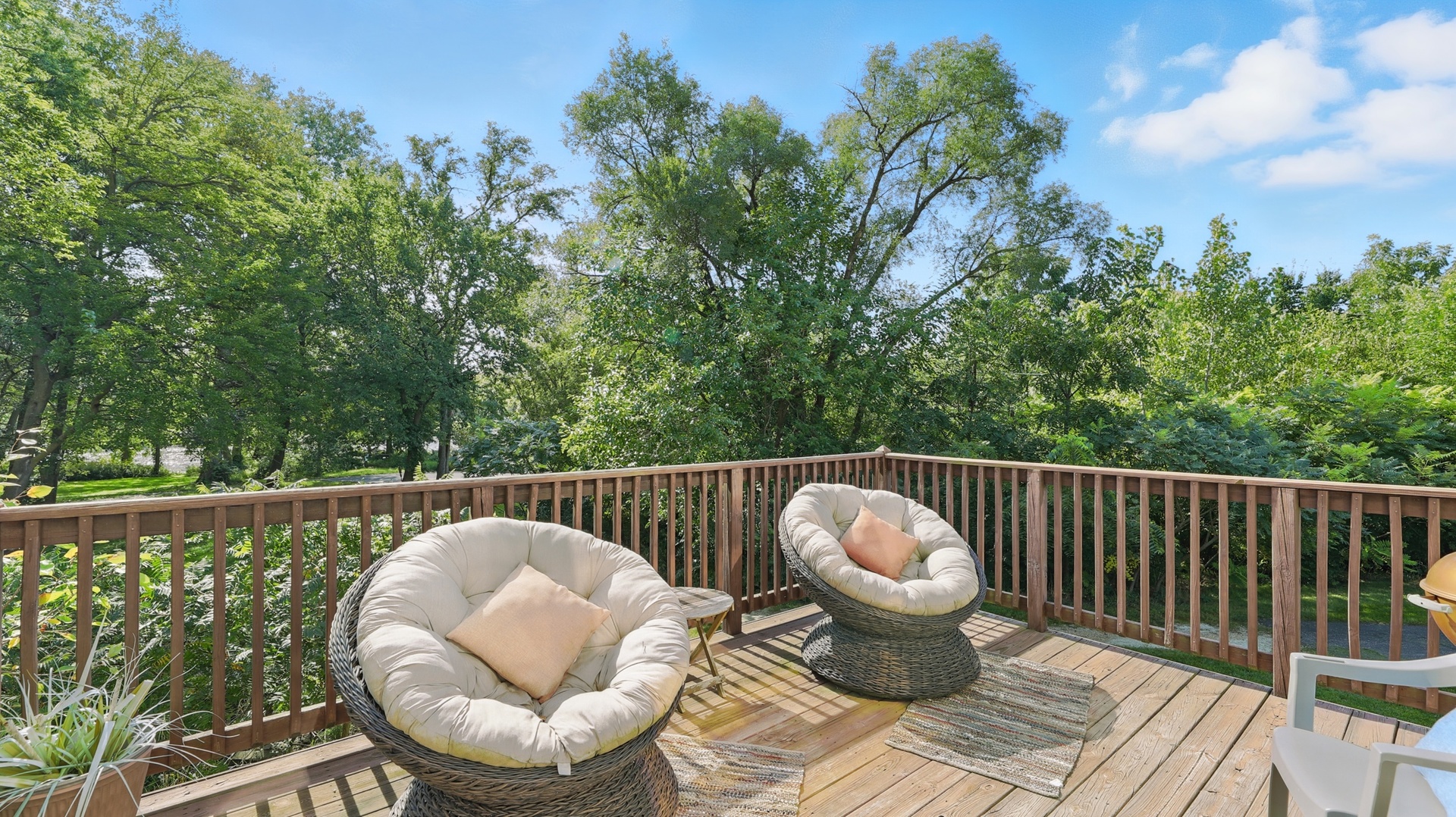 156 River Mist Drive, Oswego, IL 60543