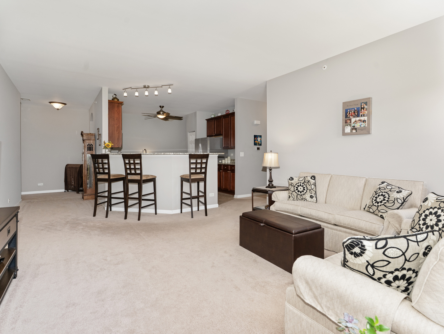 880 June Terrace #270, Lake Zurich, IL 60047