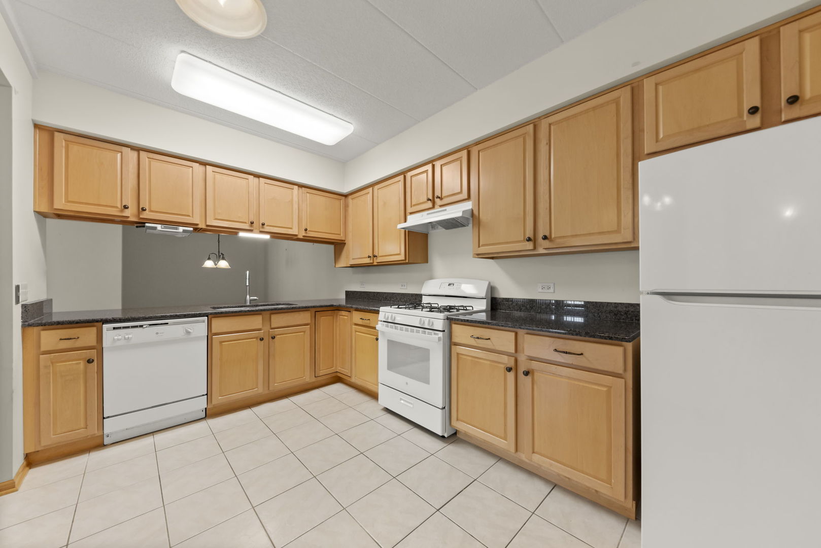 2250 S Grace Street #201, Lombard, IL 60148