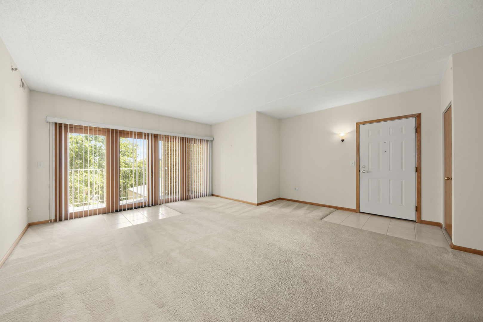 2250 S Grace Street #201, Lombard, IL 60148