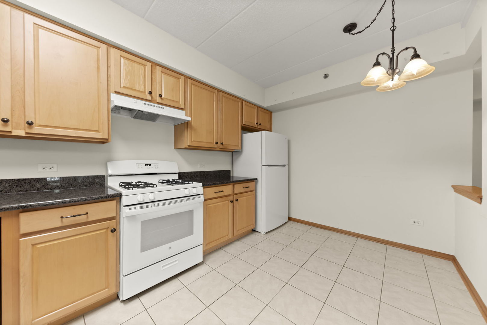 2250 S Grace Street #201, Lombard, IL 60148