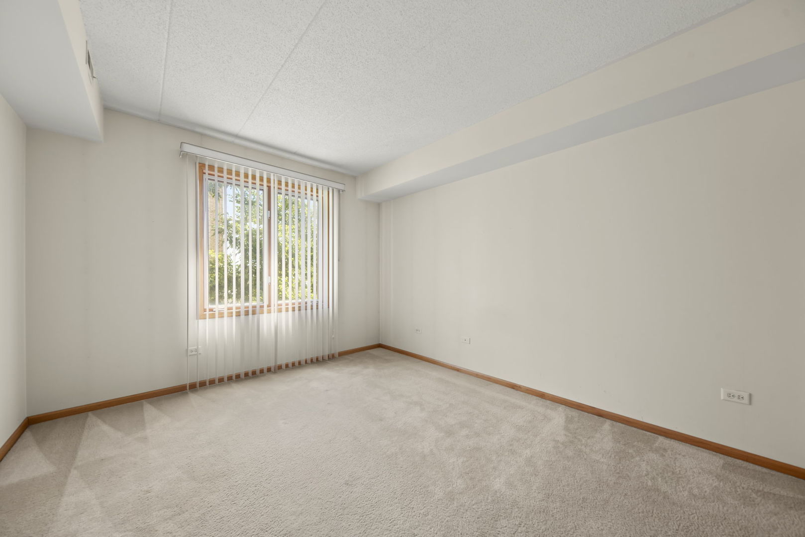 2250 S Grace Street #201, Lombard, IL 60148