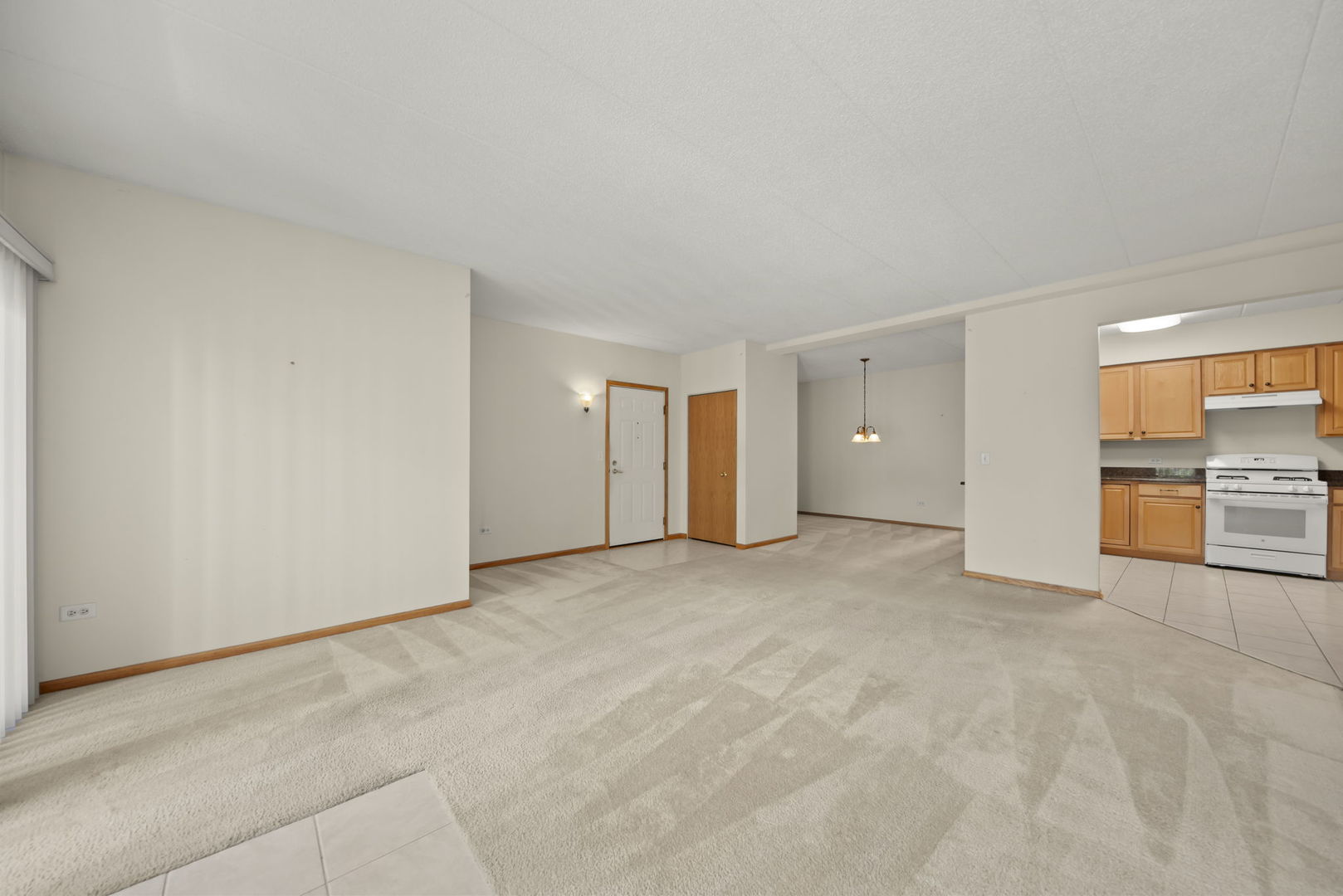 2250 S Grace Street #201, Lombard, IL 60148