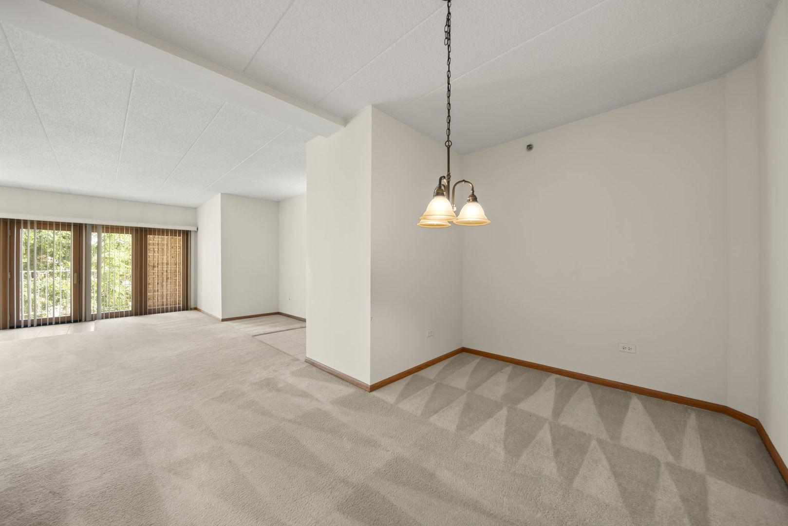 2250 S Grace Street #201, Lombard, IL 60148