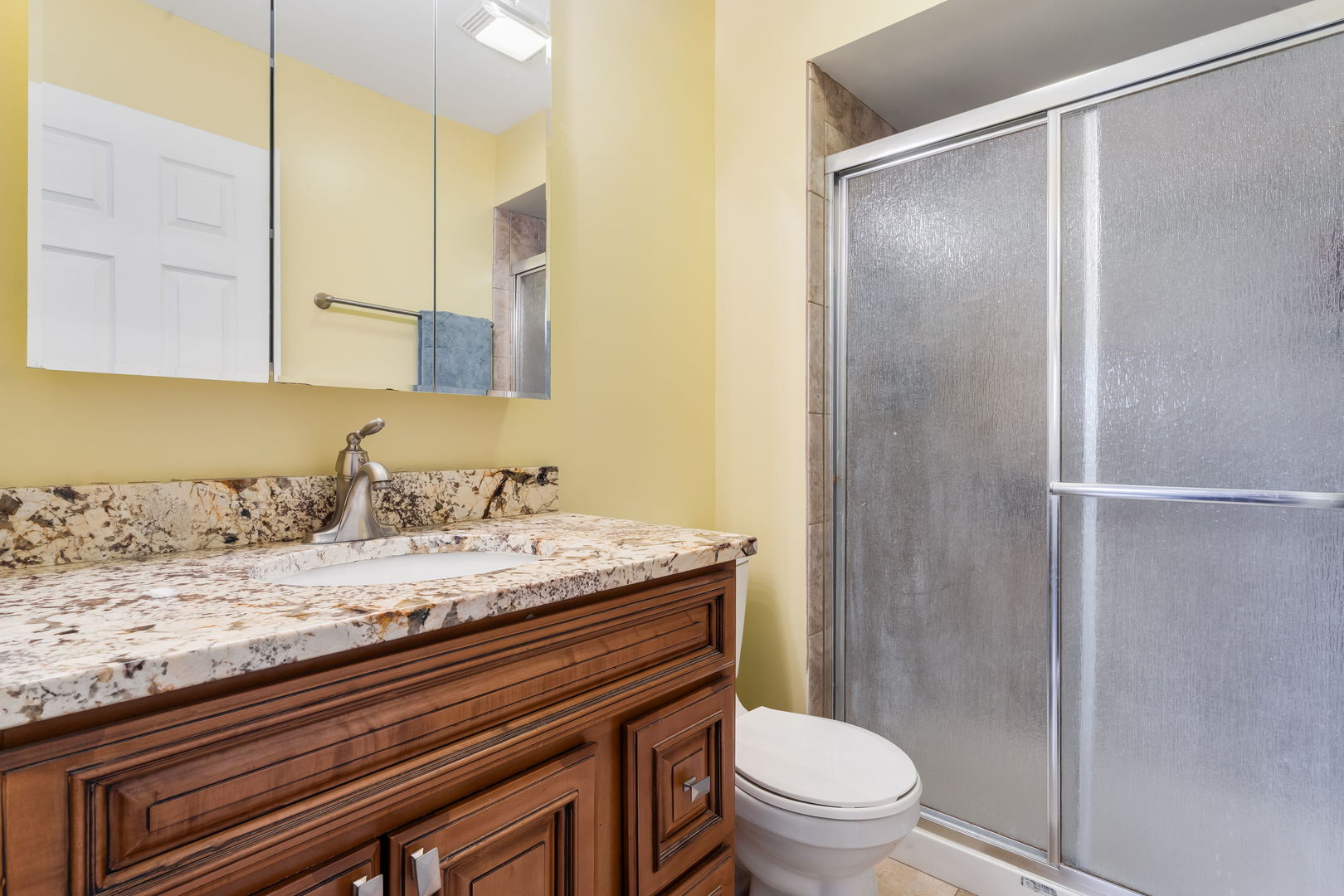1741 W Goldengate Drive, Addison, IL 60101