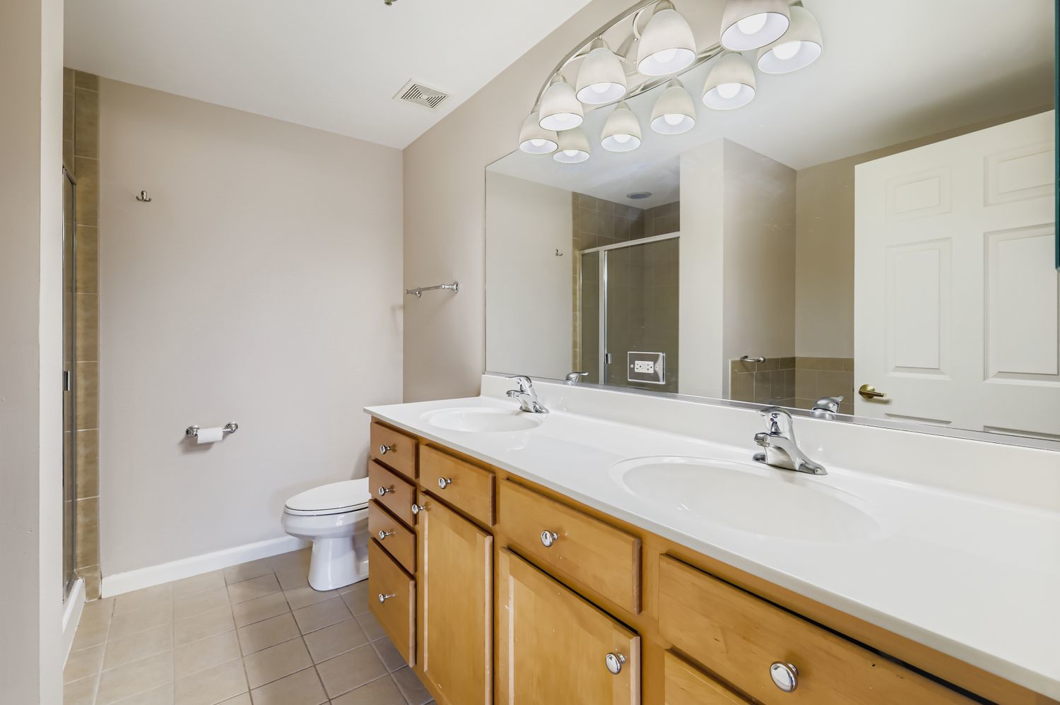 410 W Mahogany Court #309, Palatine, IL 60067