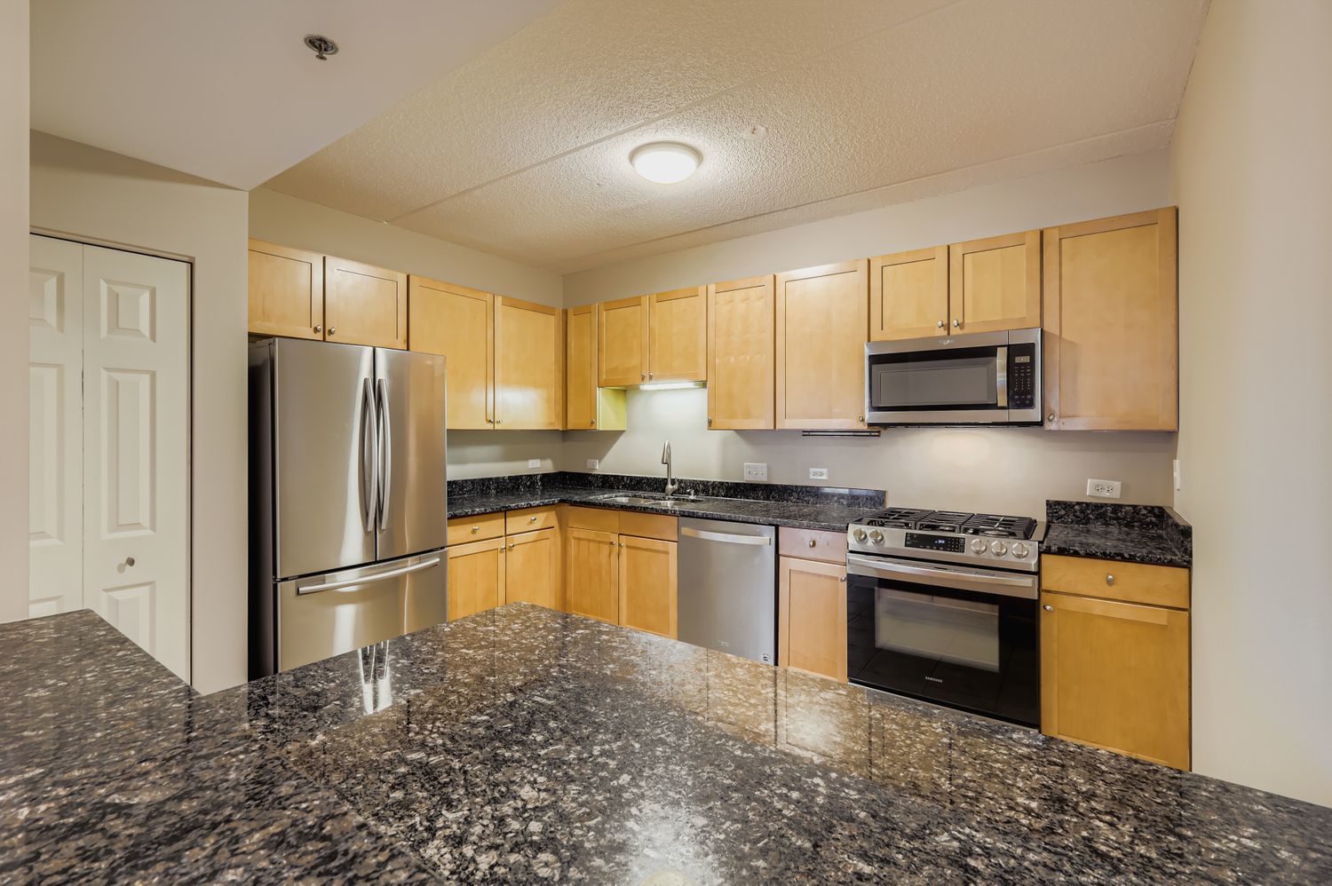 410 W Mahogany Court #309, Palatine, IL 60067