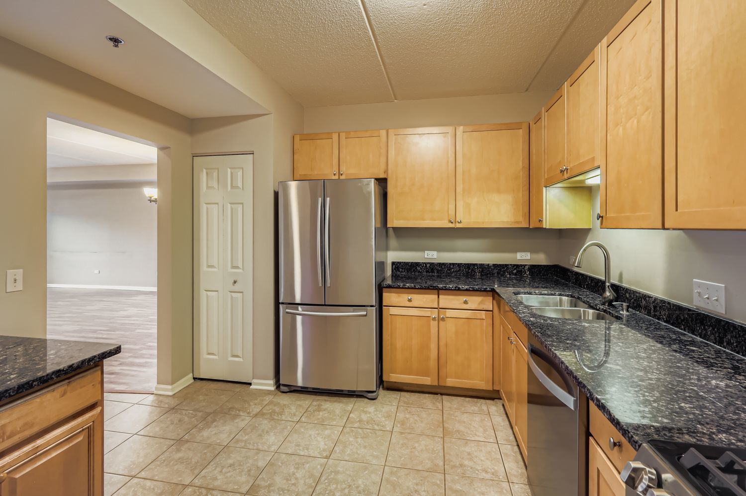 410 W Mahogany Court #309, Palatine, IL 60067