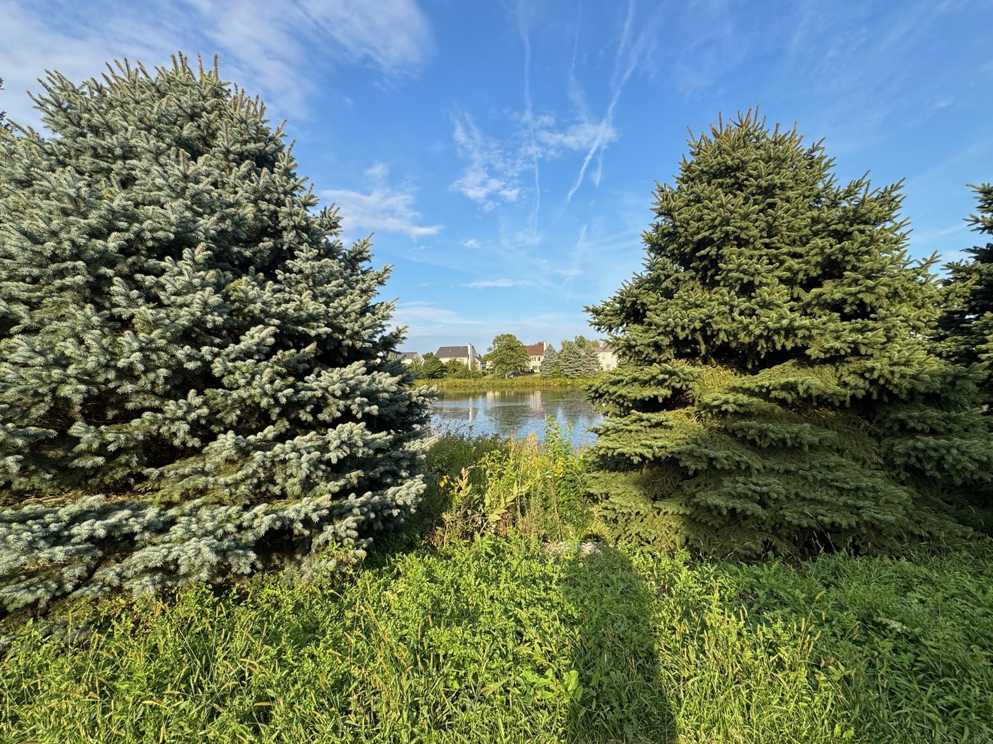 2068 Canyon Creek Court #2068, Aurora, IL 60503