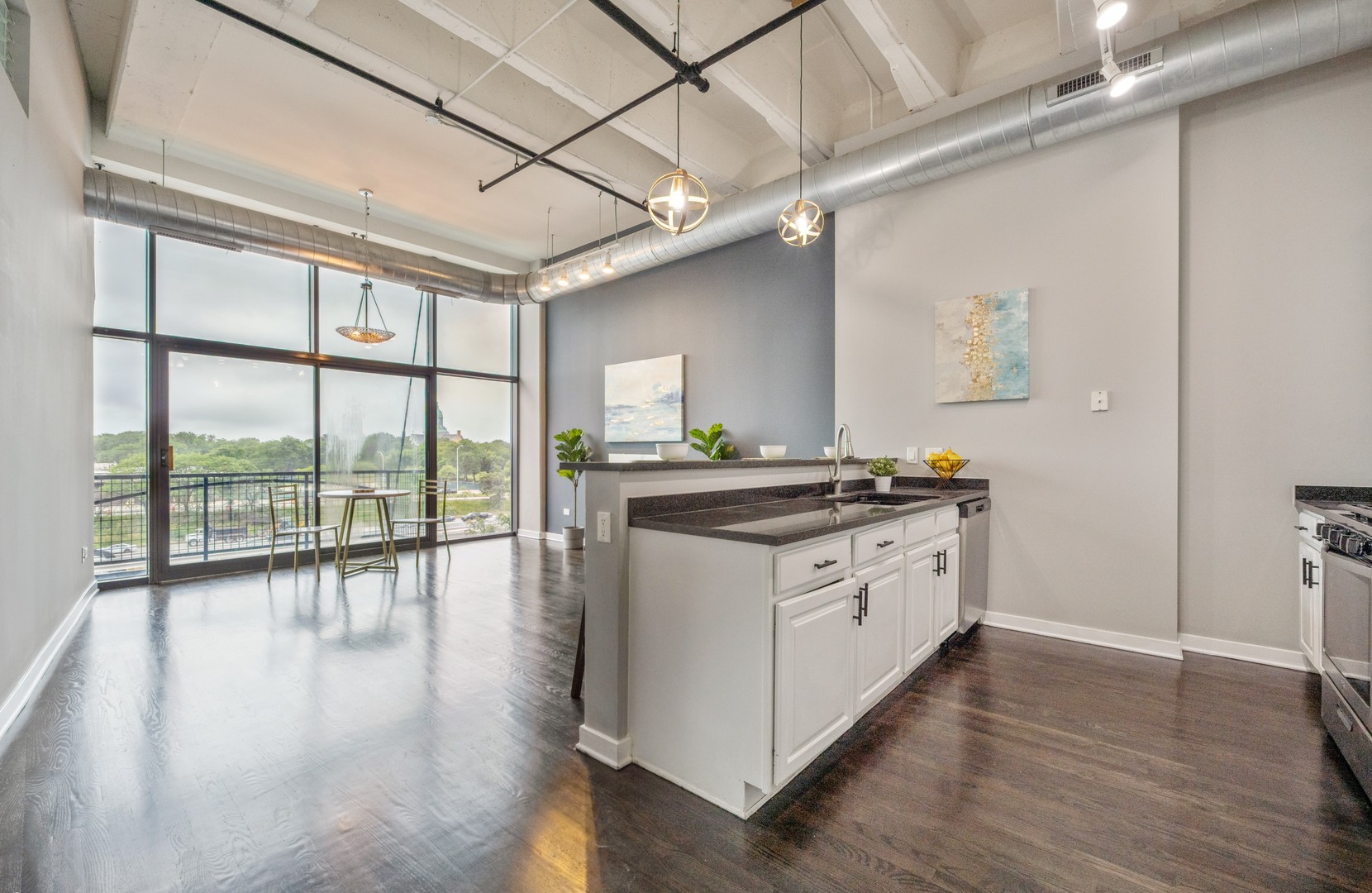 1224 W Van Buren Street #309, Chicago, IL 60607