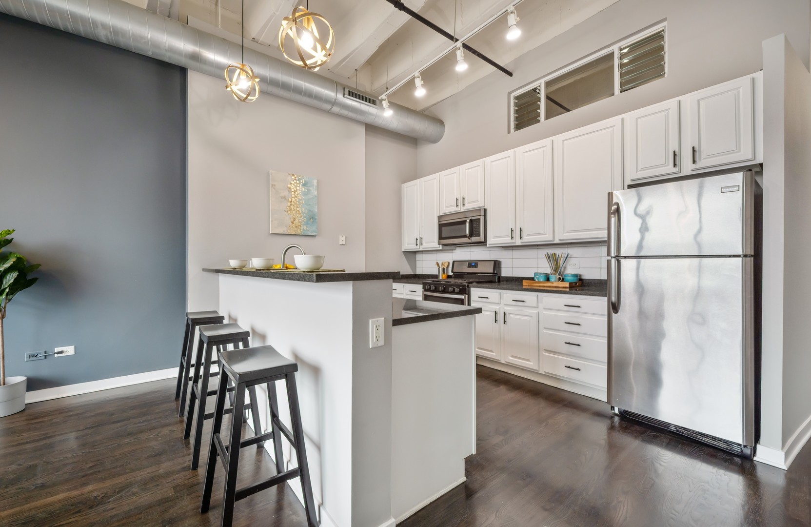 1224 W Van Buren Street #309, Chicago, IL 60607