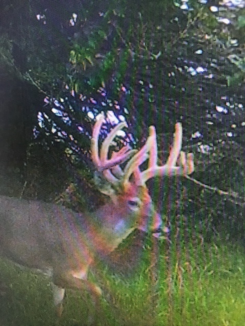 5897 Country Meadow Lane, Clinton, IL 61727