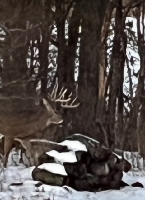 5897 Country Meadow Lane, Clinton, IL 61727