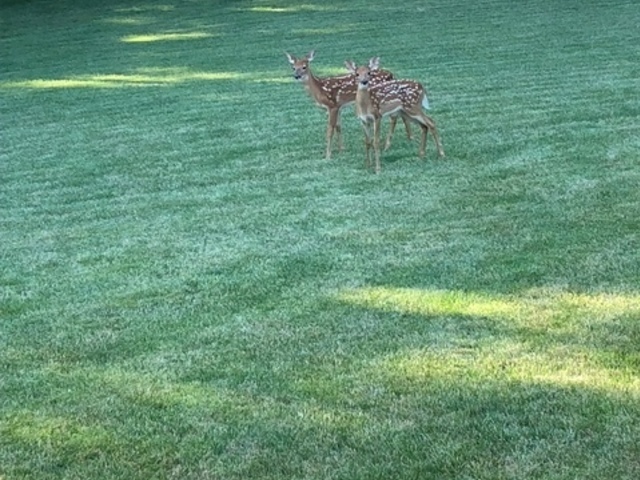 5897 Country Meadow Lane, Clinton, IL 61727